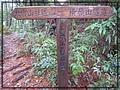 2012-12-01 15-02-02走在橫嶺山自然步道(木馬古道).JPG